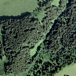 Satellite imagery of L'Aiguille, CH