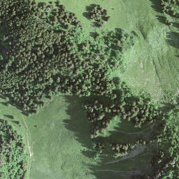 Satellite imagery of Le Molard, CH