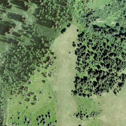 Satellite imagery of Le Molard, CH