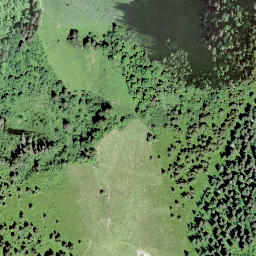 Satellite imagery of Le Molard, CH