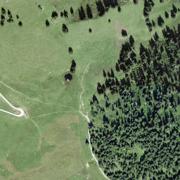 Satellite imagery of Rüwlispass, CH