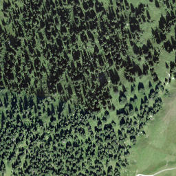 Satellite imagery of Rüwlispass, CH