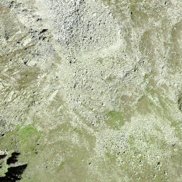 Satellite imagery of Dri Mannlini, CH