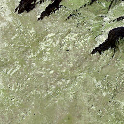 Satellite imagery of Dri Mannlini, CH