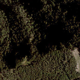 Satellite imagery of Zeller Grintoutz, AT