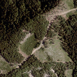 Satellite imagery of Zeller Grintoutz, AT
