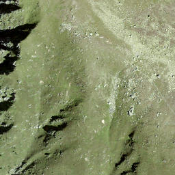 Satellite imagery of Dri Mannlini, CH