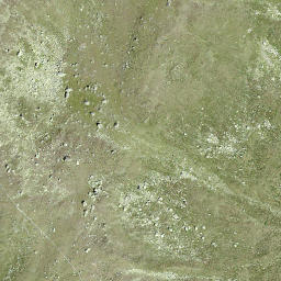 Satellite imagery of Dri Mannlini, CH