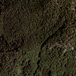 Satellite imagery of Neuberg, AT