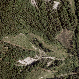 Satellite imagery of Zeller Grintoutz, AT