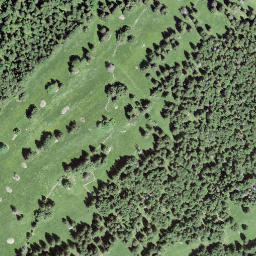 Satellite imagery of Alliés, Passage des, CH