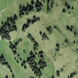 Satellite imagery of Rüwlispass, CH