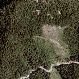 Satellite imagery of Zeller Grintoutz, AT