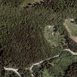 Satellite imagery of Zeller Grintoutz, AT