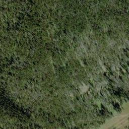 Satellite imagery of Gold Creek Placer Mine, US