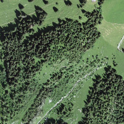 Satellite imagery of Comba Litou, CH