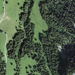 Satellite imagery of Comba Litou, CH