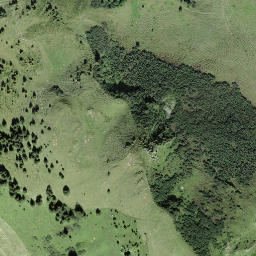 Satellite imagery of Rüwlishore, CH