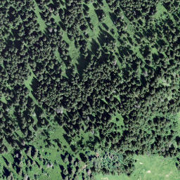 Satellite imagery of Pointe de Cananéen, CH