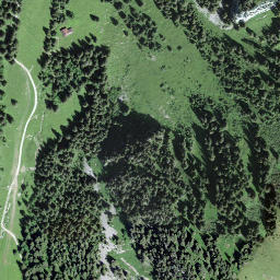 Satellite imagery of Comba Litou, CH