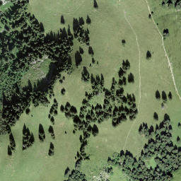 Satellite imagery of Comba Litou, CH