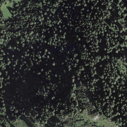 Satellite imagery of Sasso Cristallina, CH