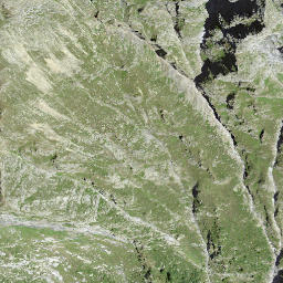 Satellite imagery of Pizzo Nass, CH