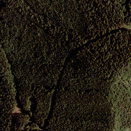 Satellite imagery of Großer Rain, AT