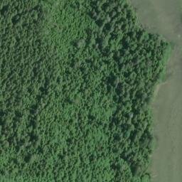 Satellite imagery of Paradise Point, US