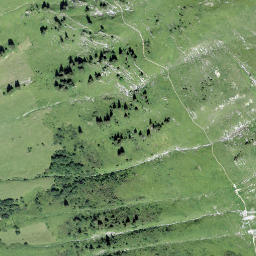 Satellite imagery of Rüwlishore, CH