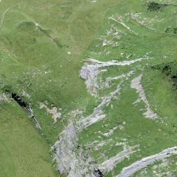 Satellite imagery of Rüwlishore, CH