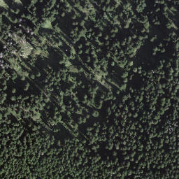 Satellite imagery of Motta di Gribbio, CH