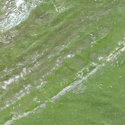 Satellite imagery of Schiahorn, CH