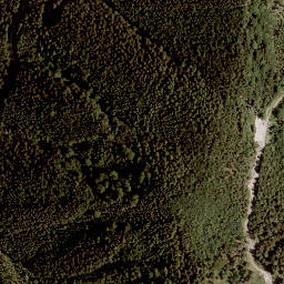 Satellite imagery of Großer Rain, AT