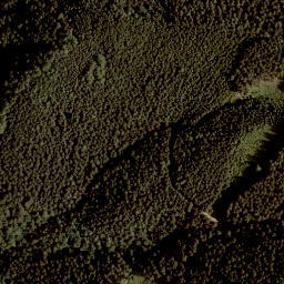 Satellite imagery of Selenz, AT