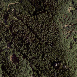 Satellite imagery of Reschounikturm, AT