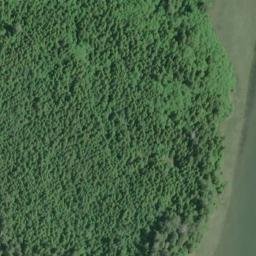 Satellite imagery of Paradise Point, US