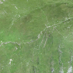 Satellite imagery of Schiahorn, CH