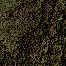 Satellite imagery of Rjautza, AT