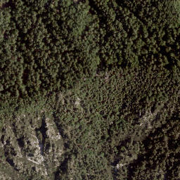 Satellite imagery of Kalisnikturm, AT