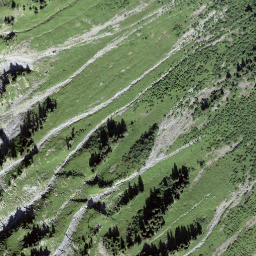 Satellite imagery of Wasserngrat, CH