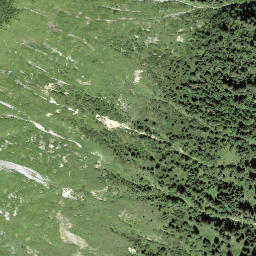 Satellite imagery of Wallritzgrat, CH
