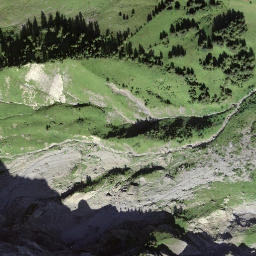 Satellite imagery of Fitzer, CH