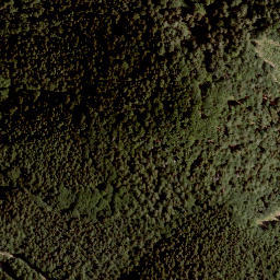 Satellite imagery of Tolsti Vrh, AT