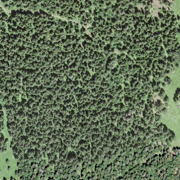 Satellite imagery of Col de la Givrine, CH