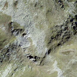 Satellite imagery of Schafberg, CH