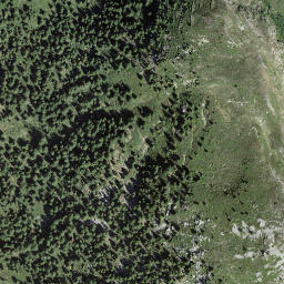 Satellite imagery of Pizzo Caslett, CH