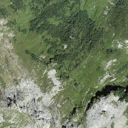 Satellite imagery of Pizzo Caslett, CH