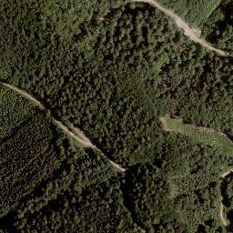 Satellite imagery of Tolsti Vrh, AT