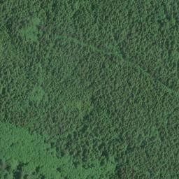 Satellite imagery of Stanley Peninsula, US